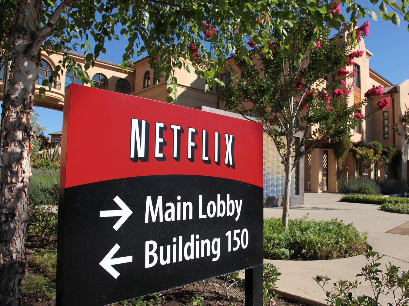 Netflix Revenues, Outlook Draw Curtain on Profits