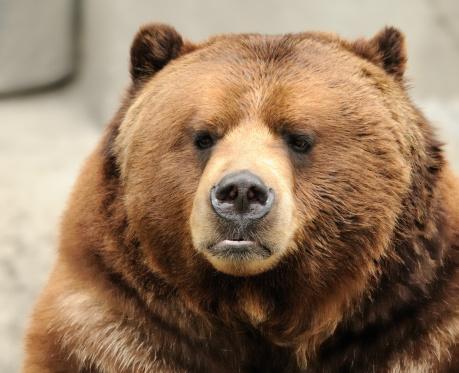 Why PSG Is Getting Mauled