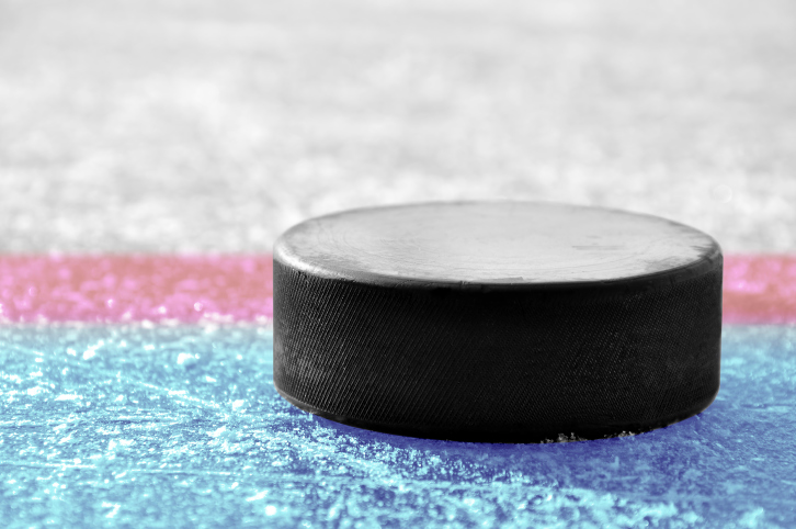 hockey puck