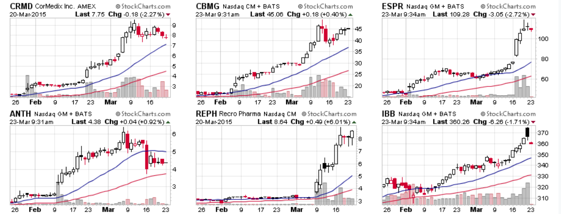 Top Biotechs of 2015 Chart march 23