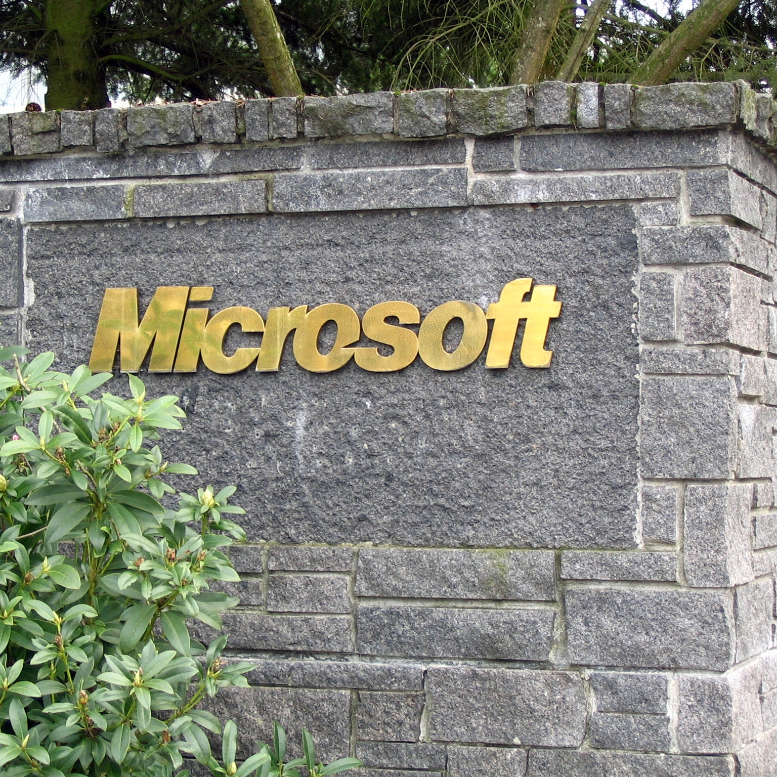 Merrill Lynch Out With Revised 6 Top Software Stock Picks to Buy Now