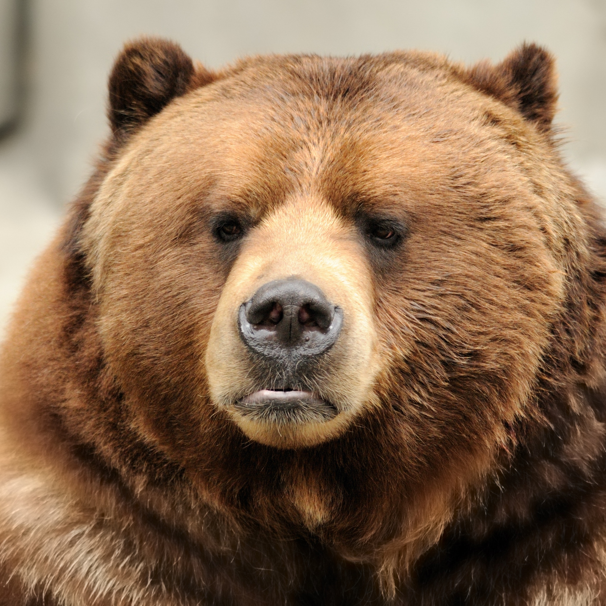 Is 15,076 the Most Bearish Case for DJIA in 2016? Apple, Boeing, Cisco, Intel, Nike, Microsoft