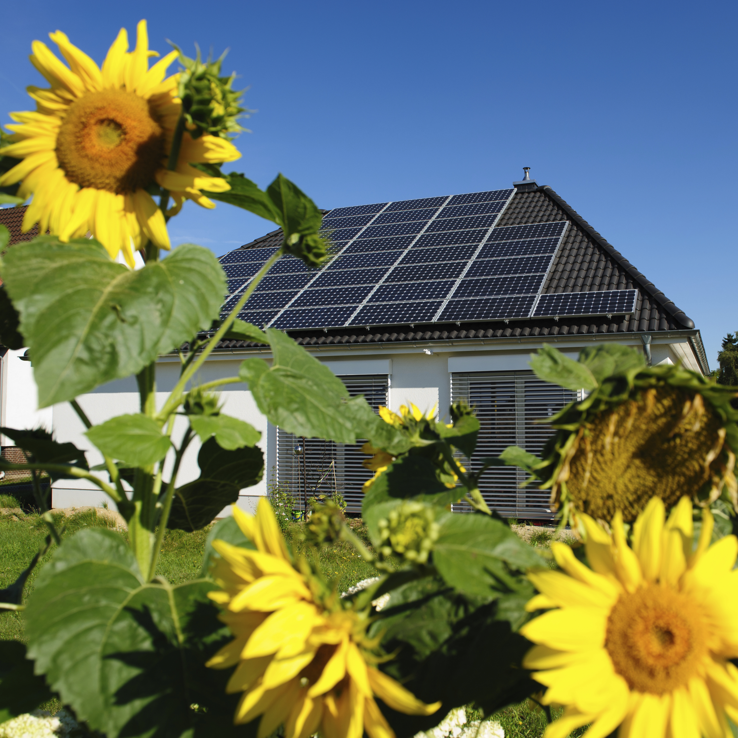 Deutsche Bank Says Clean Energy Tax Credit Extensions Could Be Big for 4 Stocks to Buy
