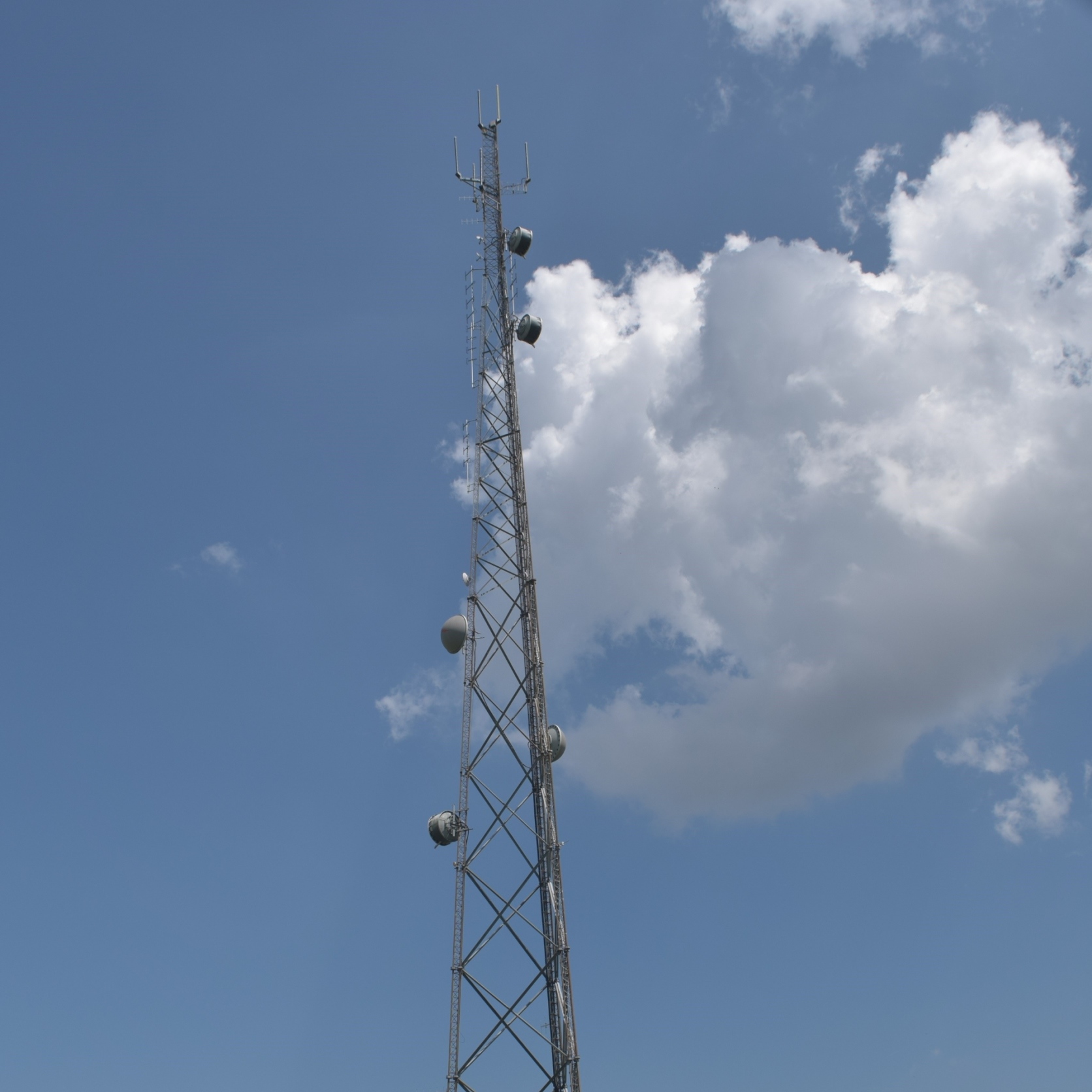 Is the Wireless Industry in a Race to the Bottom?