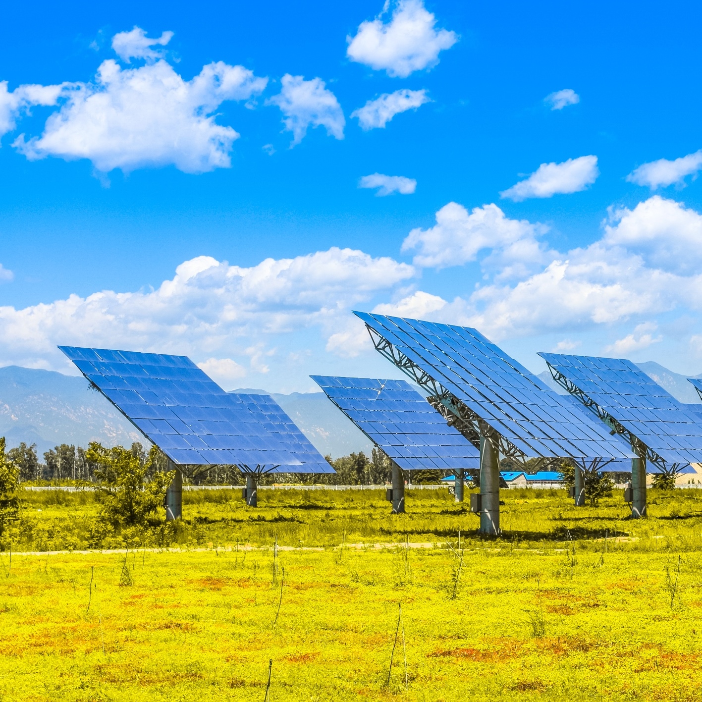 These 3 Companies Are the Solar Power Leaders, But Should You Invest in Them?