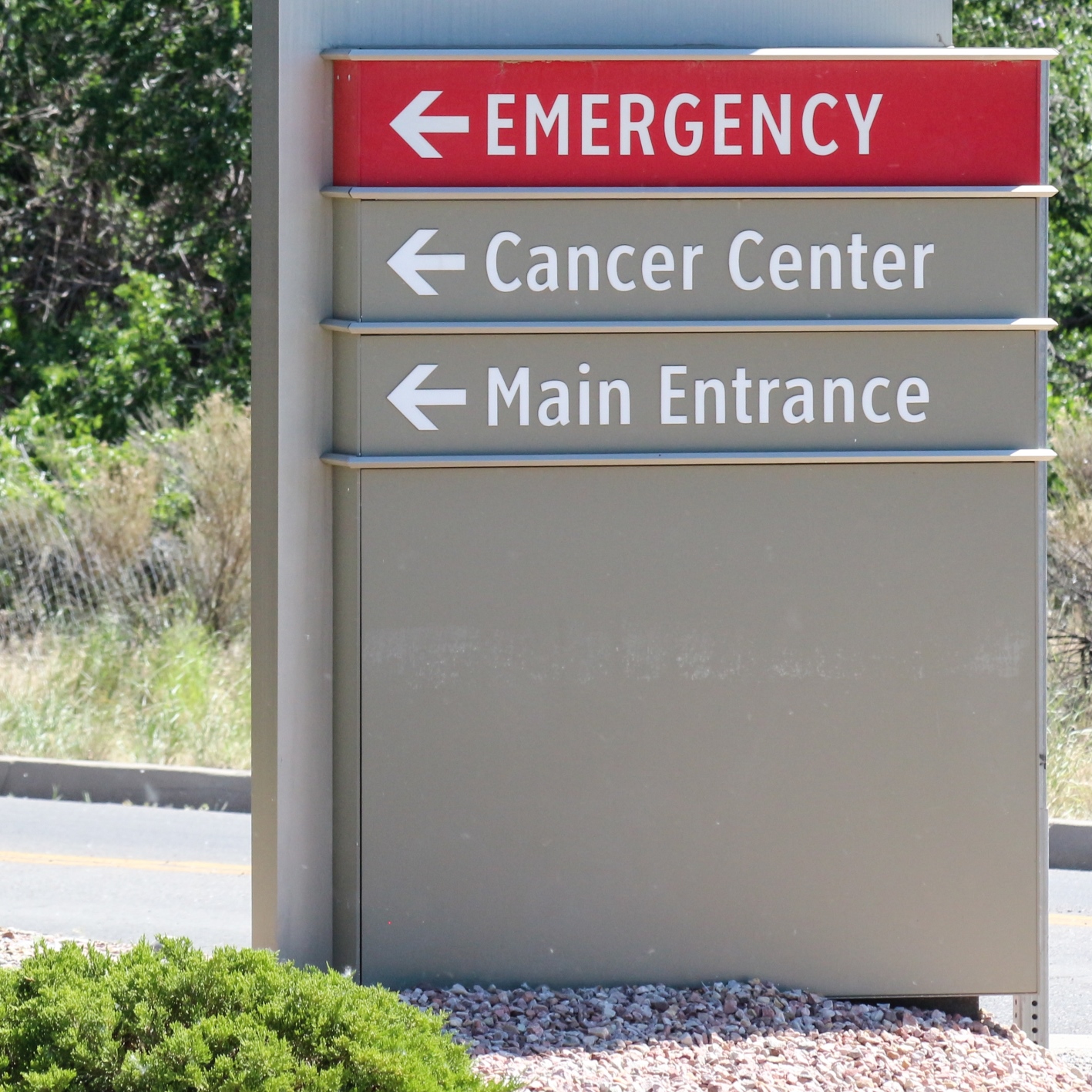 Analyst Has 4 Buy-Rated Medical Stocks That Pay Massive Dividends