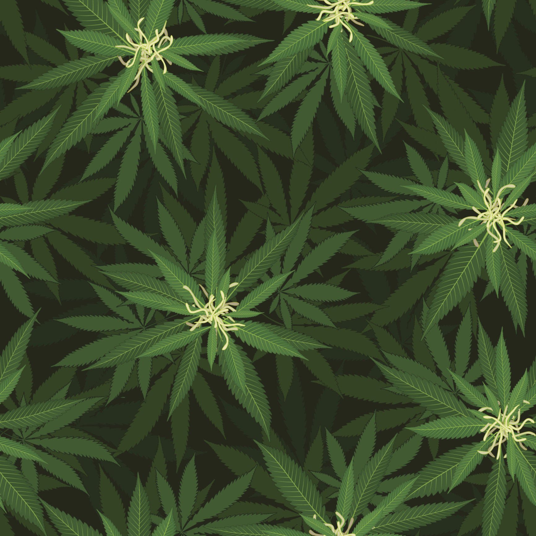 Why the First Marijuana ETF May Pose Serious Problems for US Investors