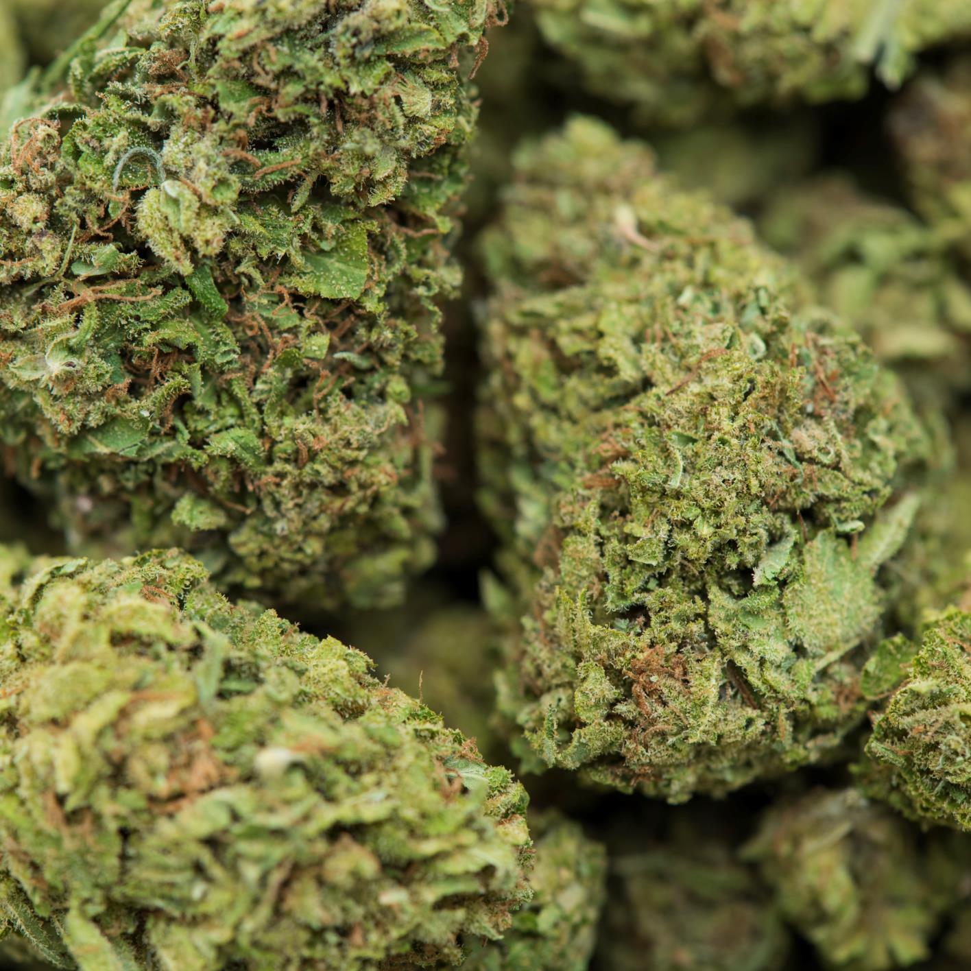 Marijuana Weekly News Roundup