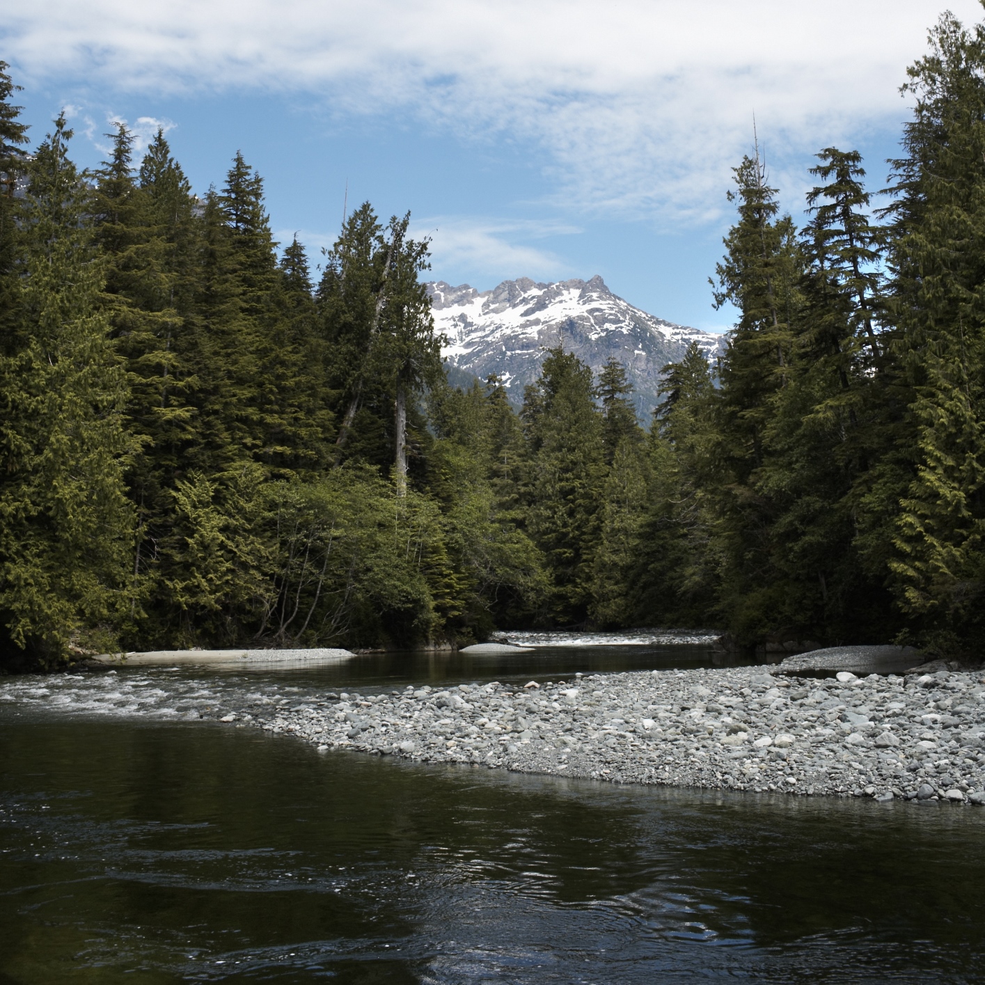 Rocky riverbank