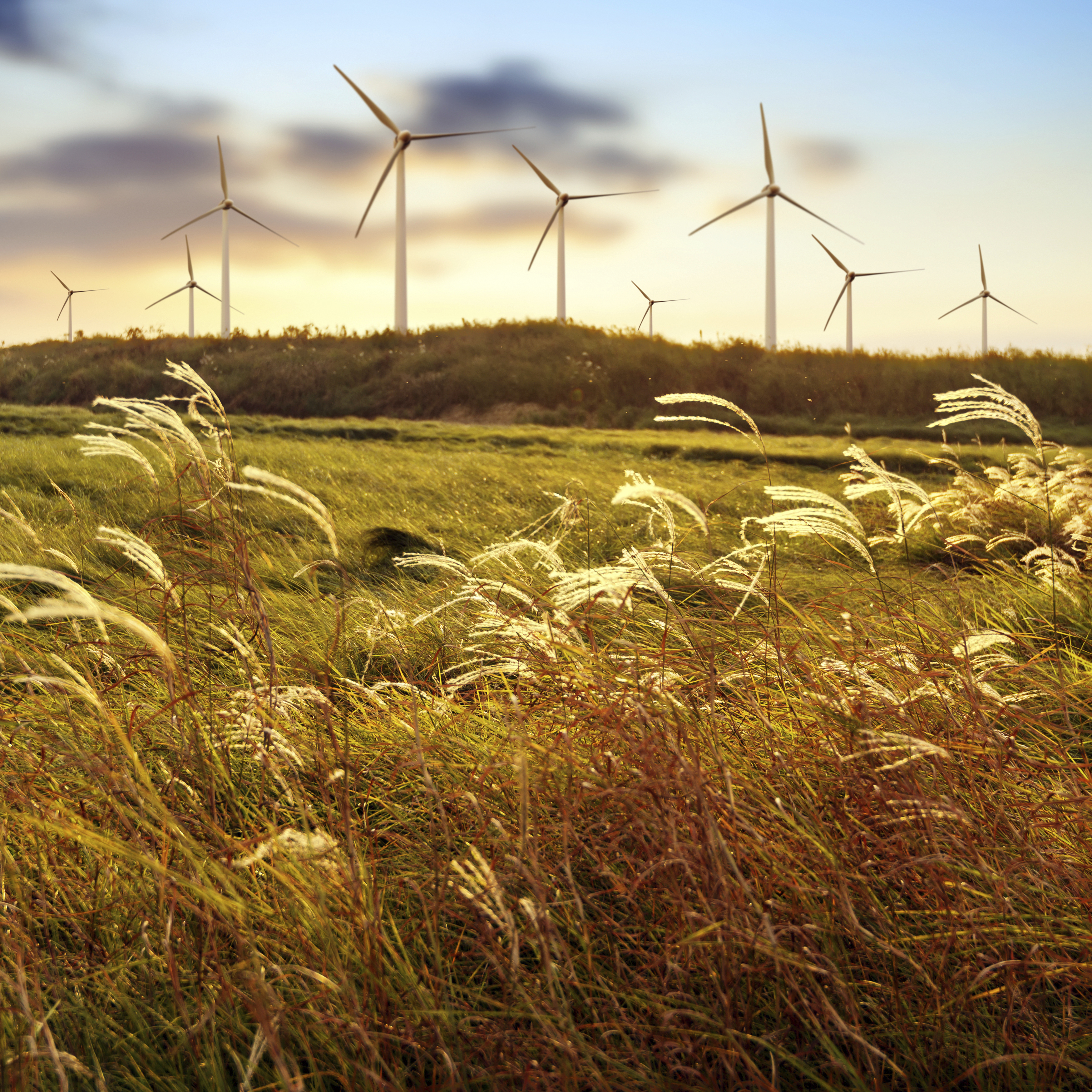 GE Trails Vestas in Global Wind Turbine Market