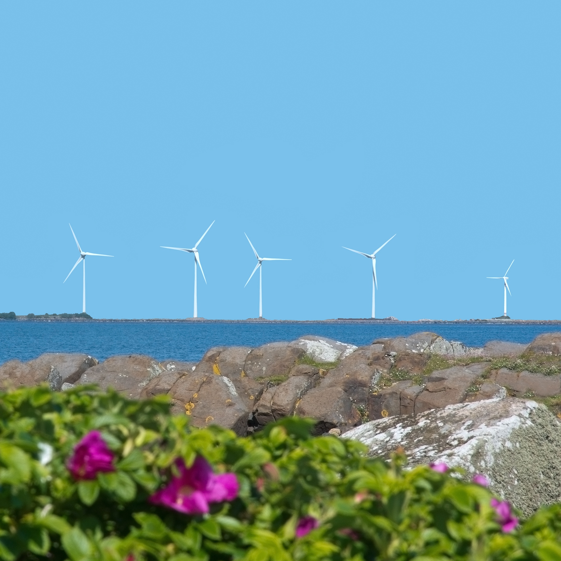 China Ming Yang Power Group Prepares to Go Private