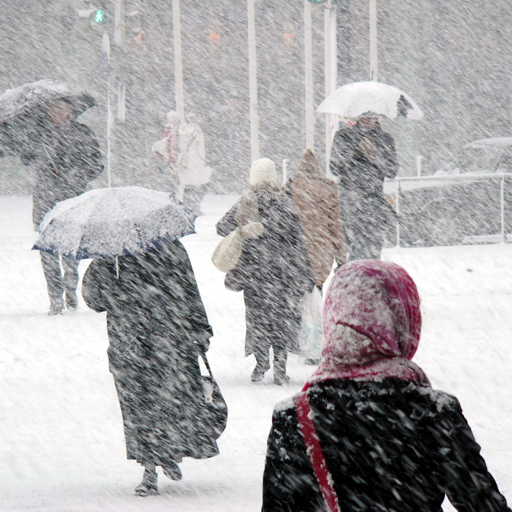 Natural Gas Price Steady on Forecast for Colder Weather