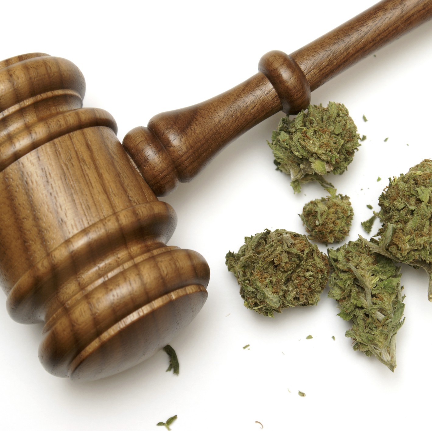 More Than Half in Marijuana Industry Concerned About Trump Administration