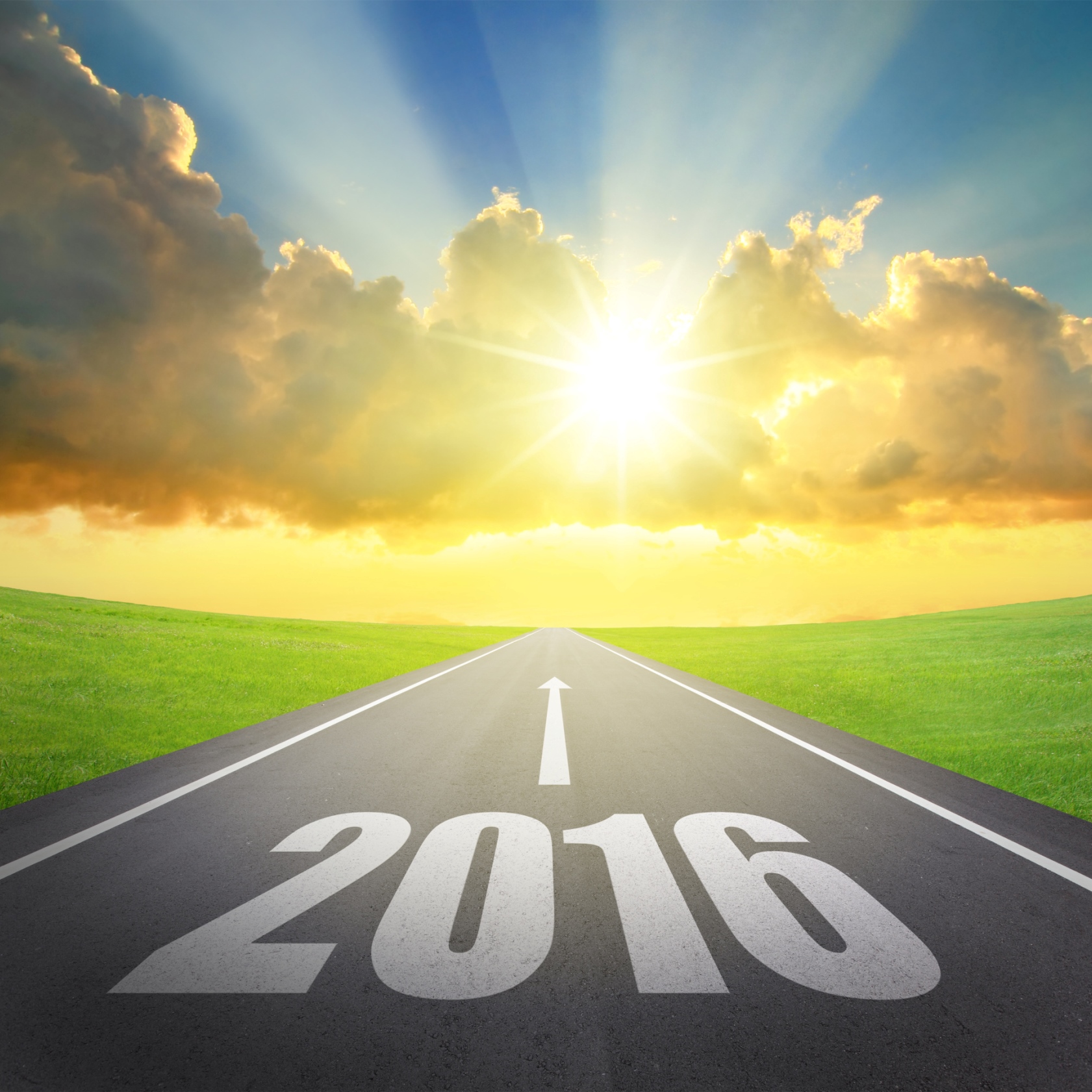 Merrill Lynch Out With Top 10 Stock Picks for 2016