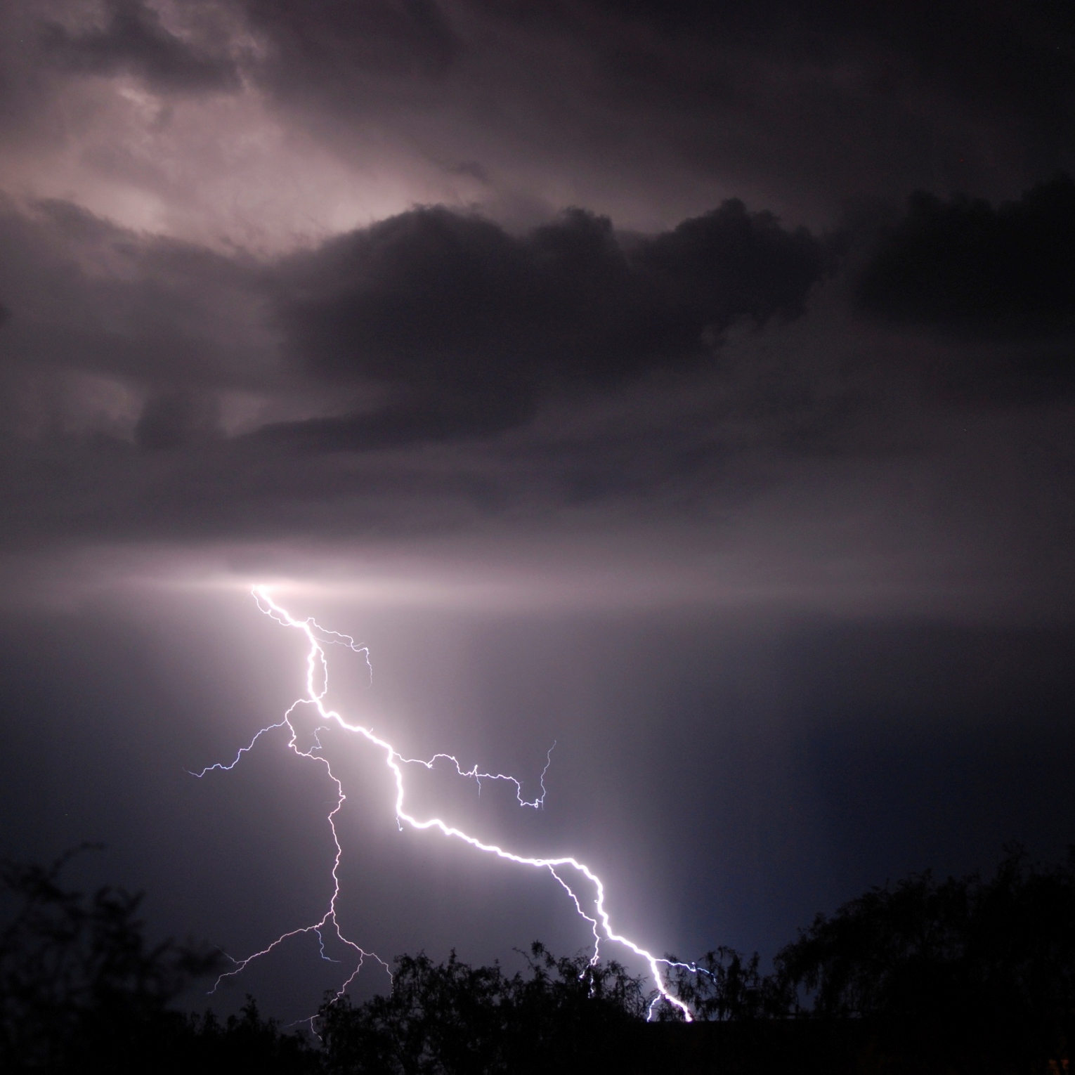 4 Dividend-Paying Stocks to Help Ride Out the Coming Volatile Summer