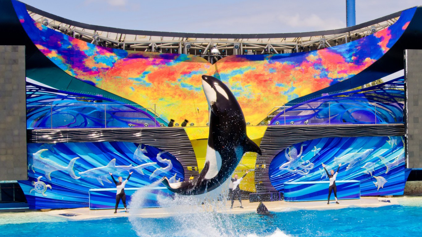 Is SeaWorld in Trouble After This CEO Departure?