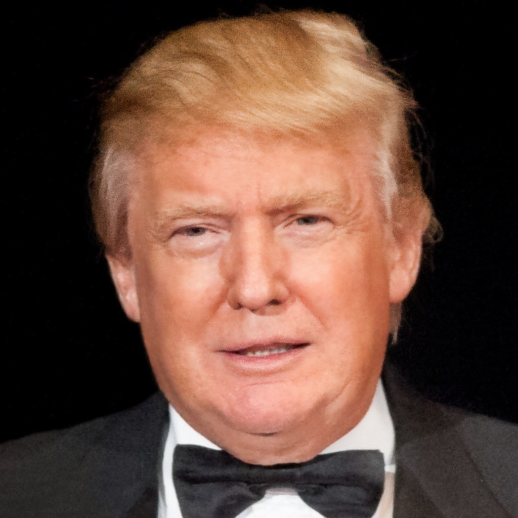 Which Stocks Could Rise on Trump Presidency?