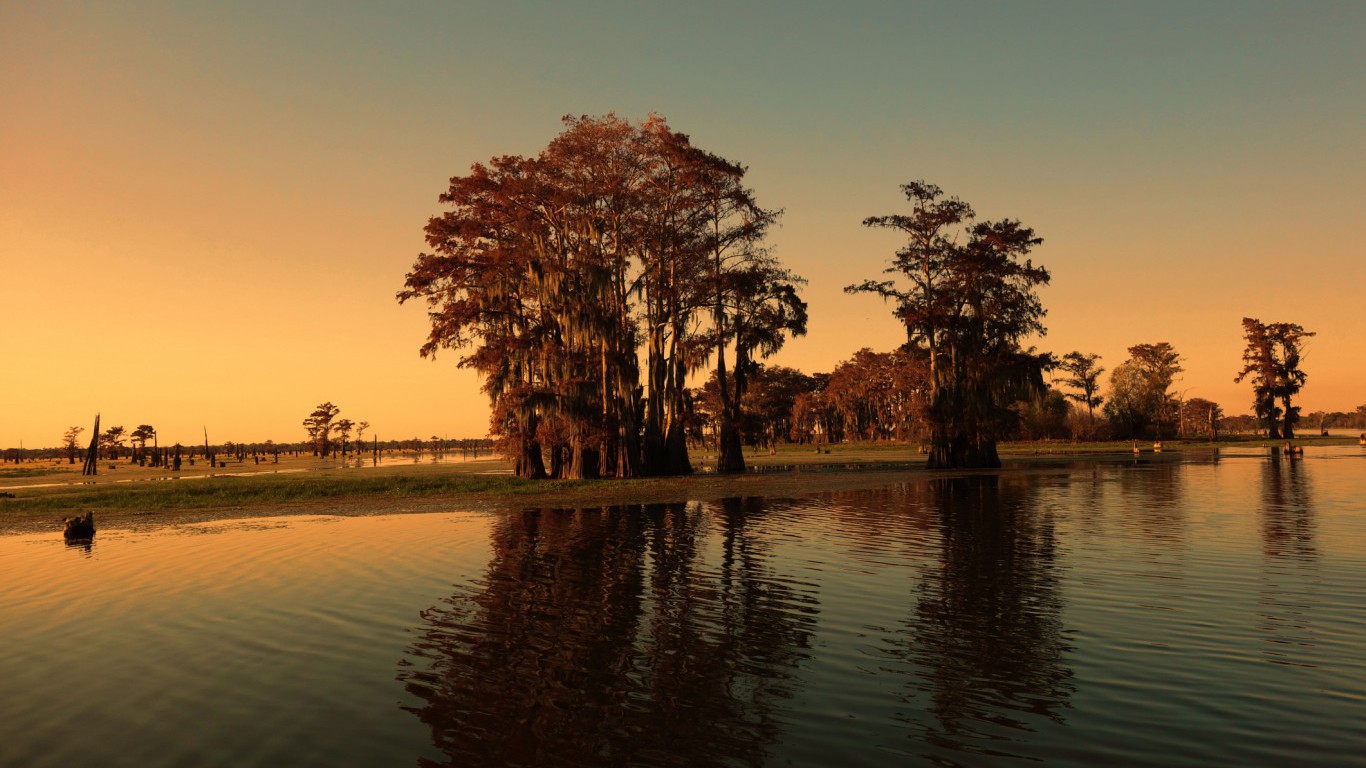 Louisiana bayou and cypress trees
