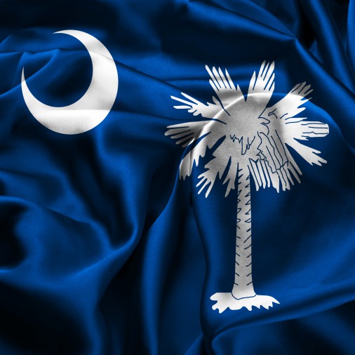 The South Carolina Primary in 8 Charts