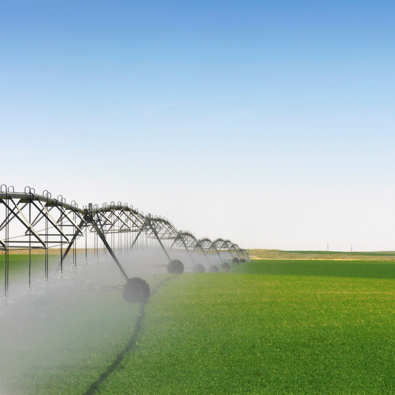 What to Expect From Monsanto Earnings