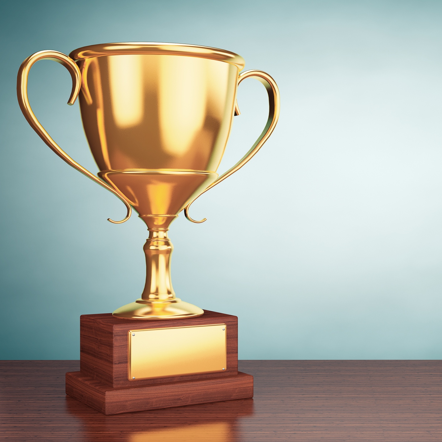 Dick’s Sporting Goods Earnings No Trophy Winner