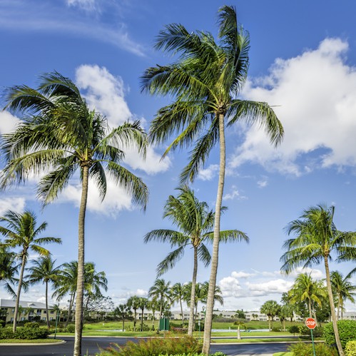 The Happiest (and Most Miserable) Cities in America