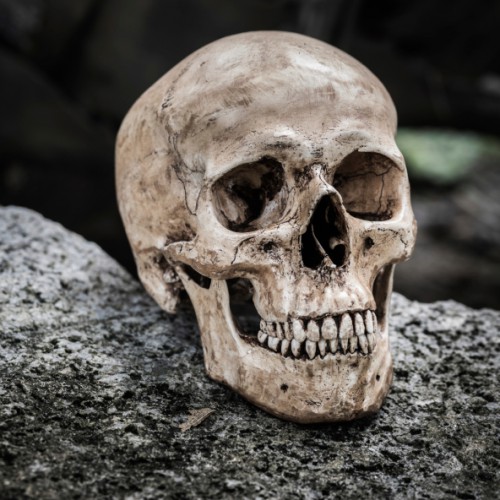 America’s 10 Deadliest Diseases