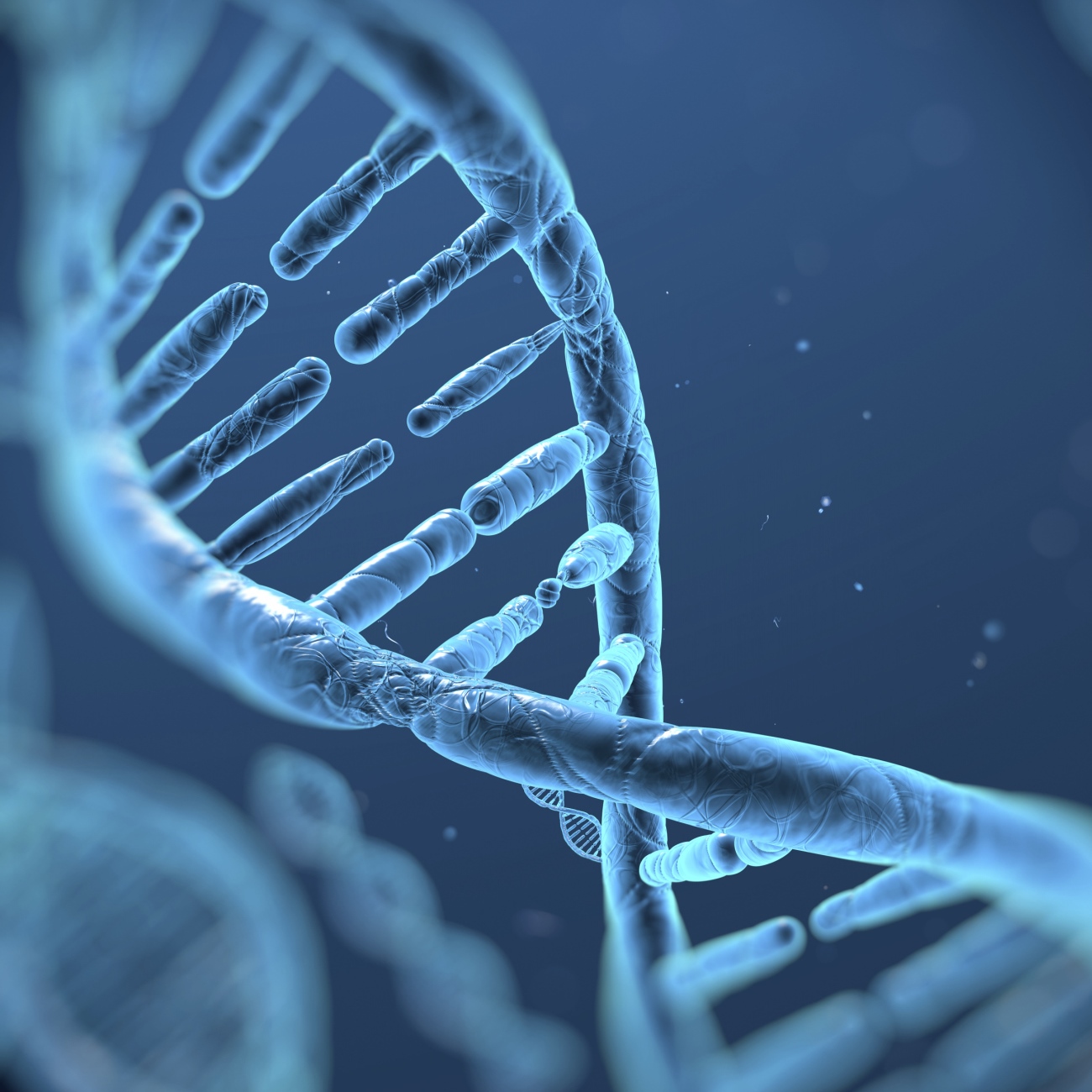 DNA molecules