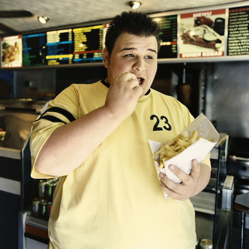 States With the Highest Obesity