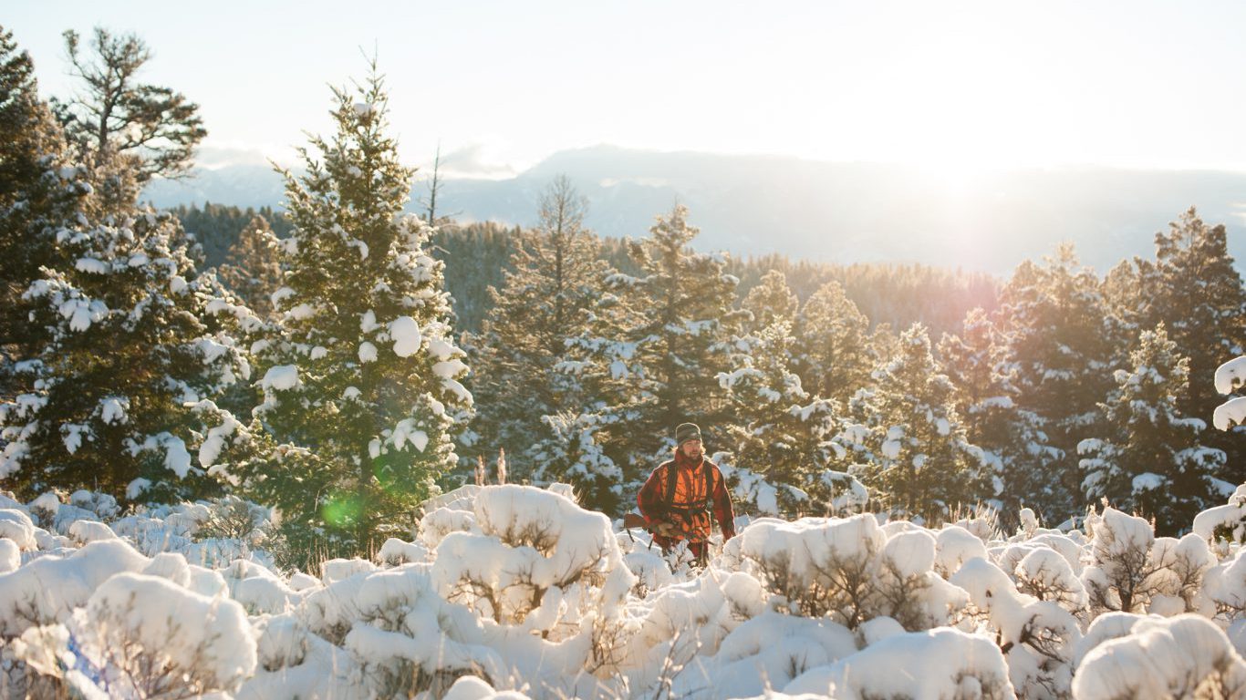 Hunter, Hunting, Montana