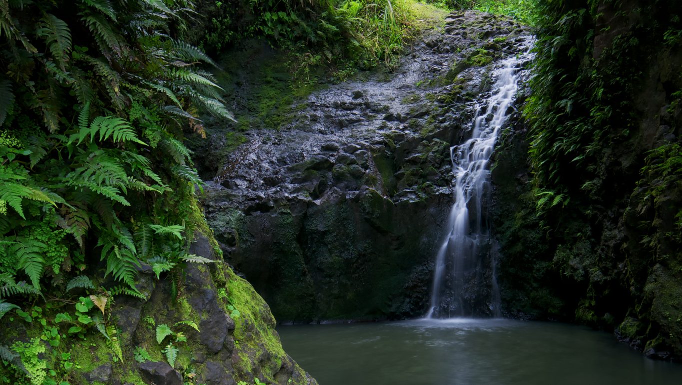 Maunawili Falls.