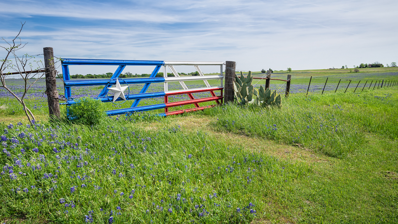 Texas bluebonnet field and fence in spring