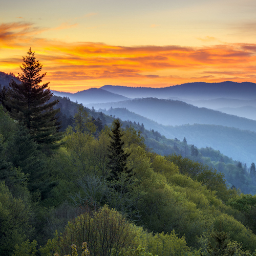 The Most (and Least) Valuable States