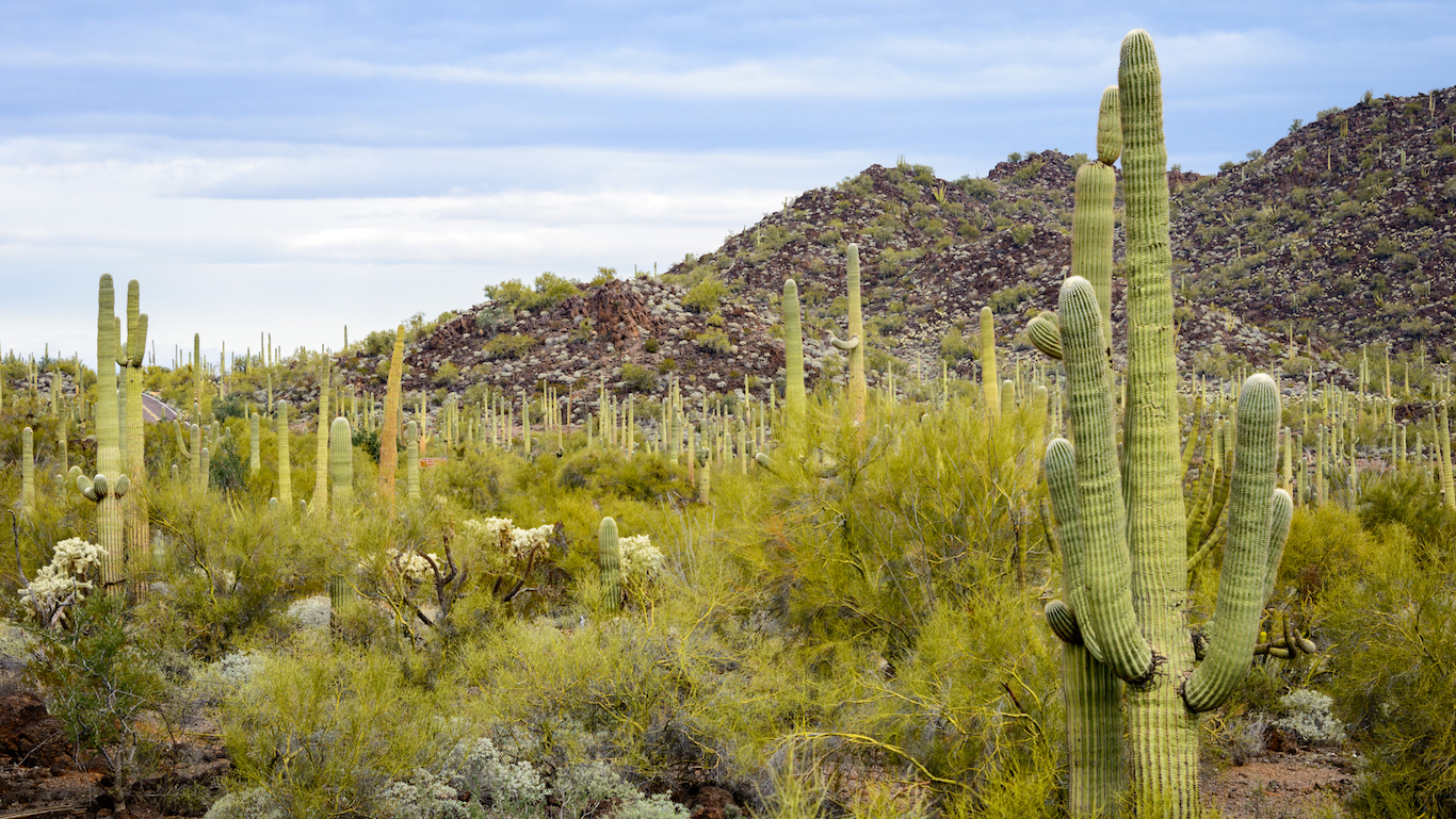 Organ Pipe Cactus National Monument