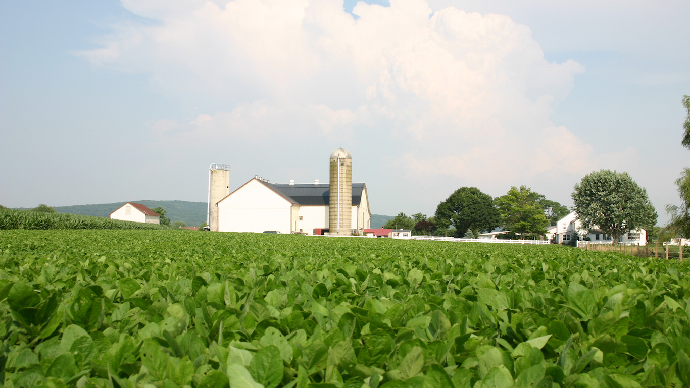 Tobacco Farm