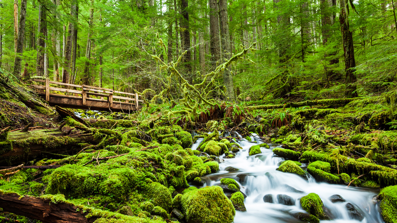 Beautiful cascade waterfall in Sol Duc falls trail, Washington