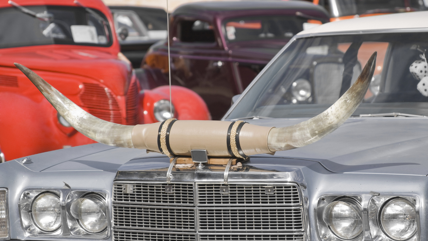 Vintage Car with Longhonr Steers