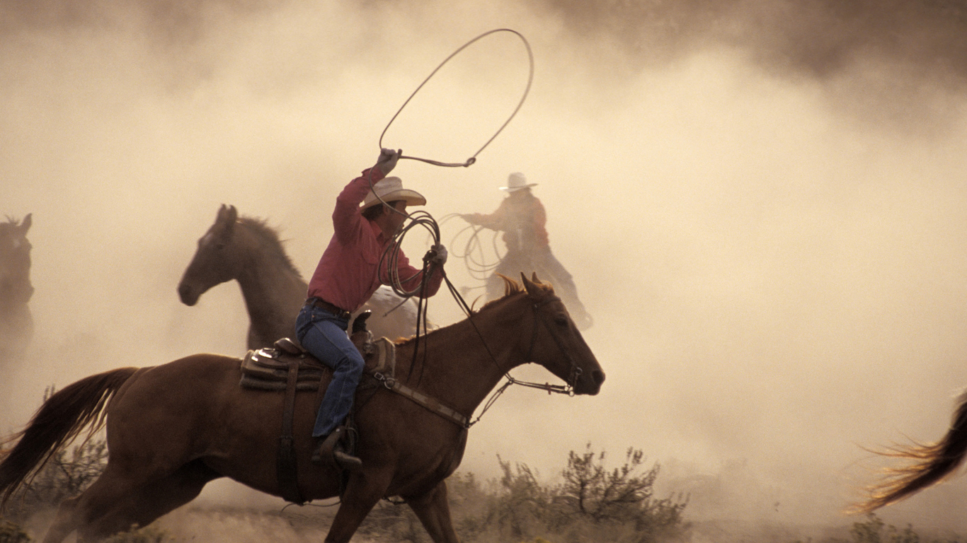 Cowboys Roping Horses