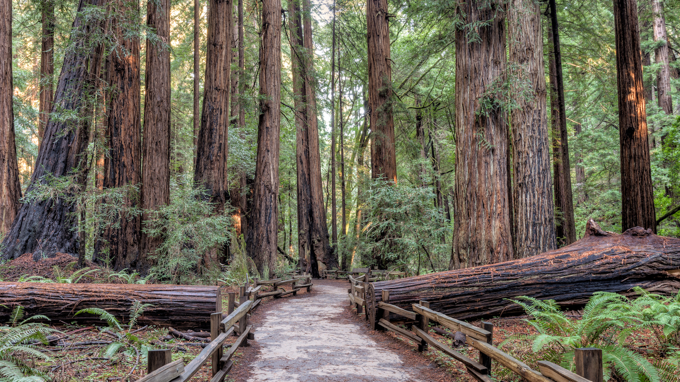 Muir Woods National Monument Hiking Path