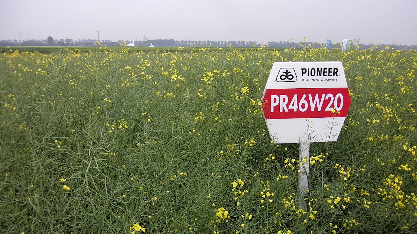 DowDuPont Cements Its Rank as Dow’s Poorest Performer