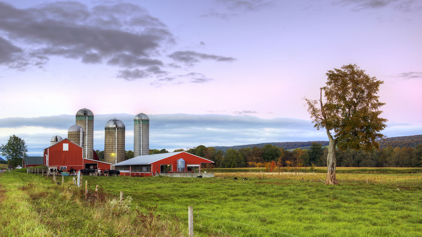 Red Barn at dusk with cows, Farm