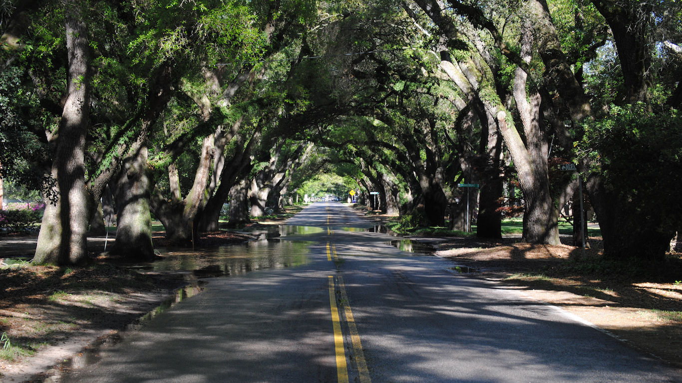 Road In Aiken, South Carolina after a summer shower.