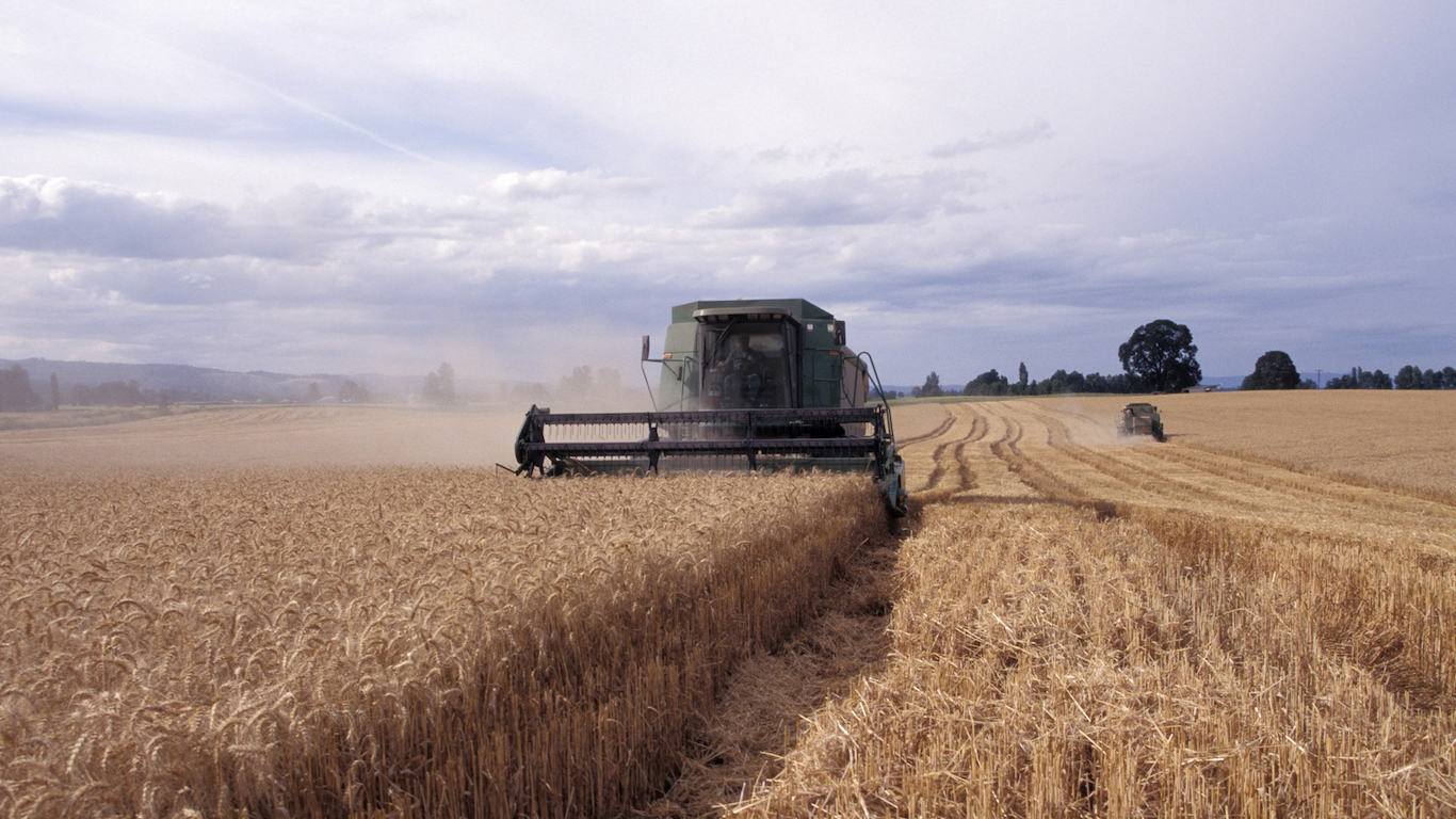 Machine Harvesting Wheat