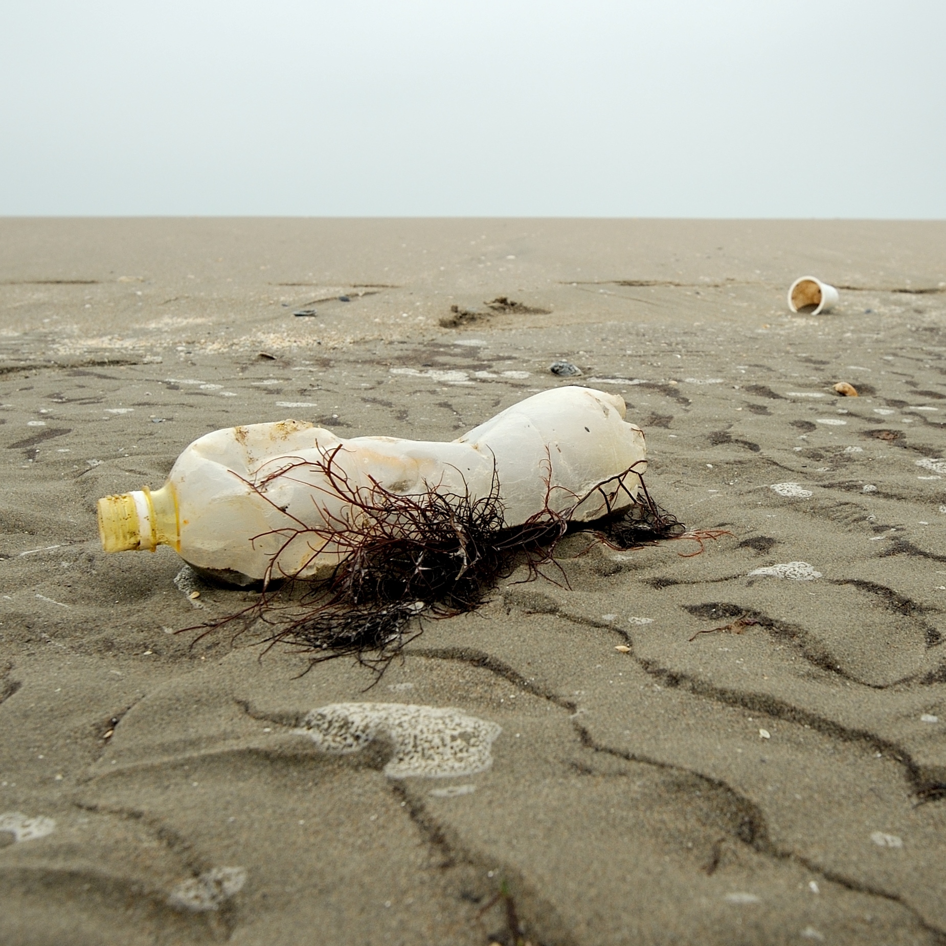 10,000 Tons of Plastic Dumped Into Great Lakes Each Year