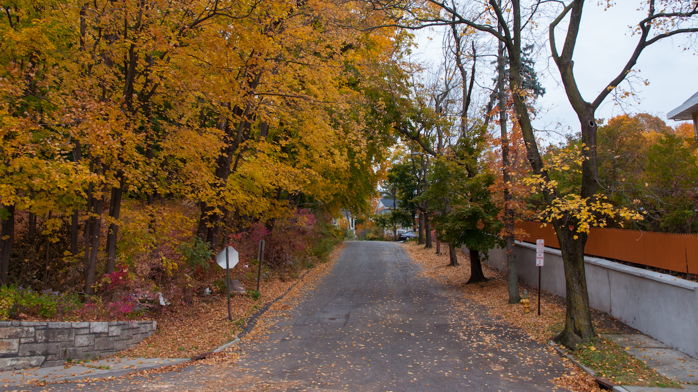 Neighborhood road with fall foliage, Westchester County, New York