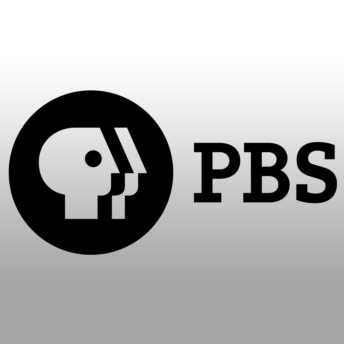 A Closer Look: Why Does Public Television Have More Longest-Running Shows Than Other Channels