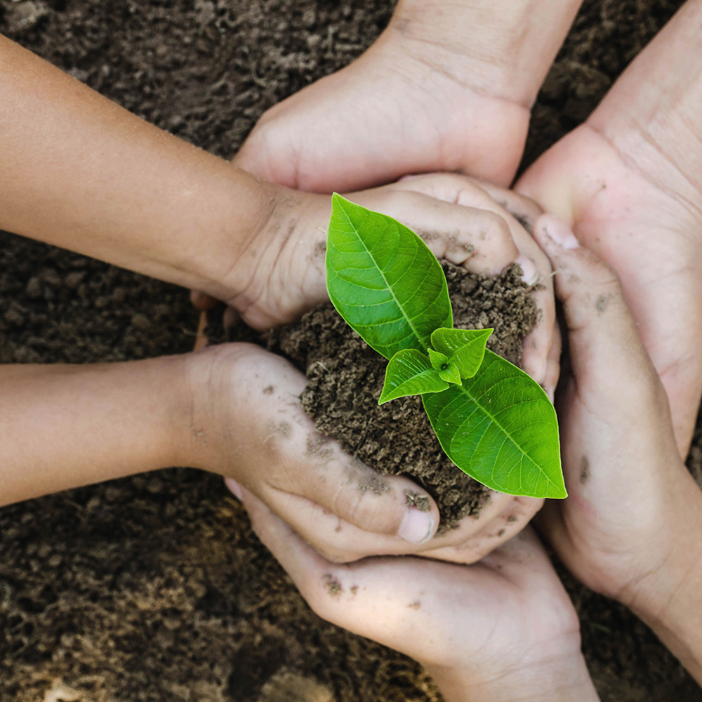 Most and Least Environmentally Friendly States