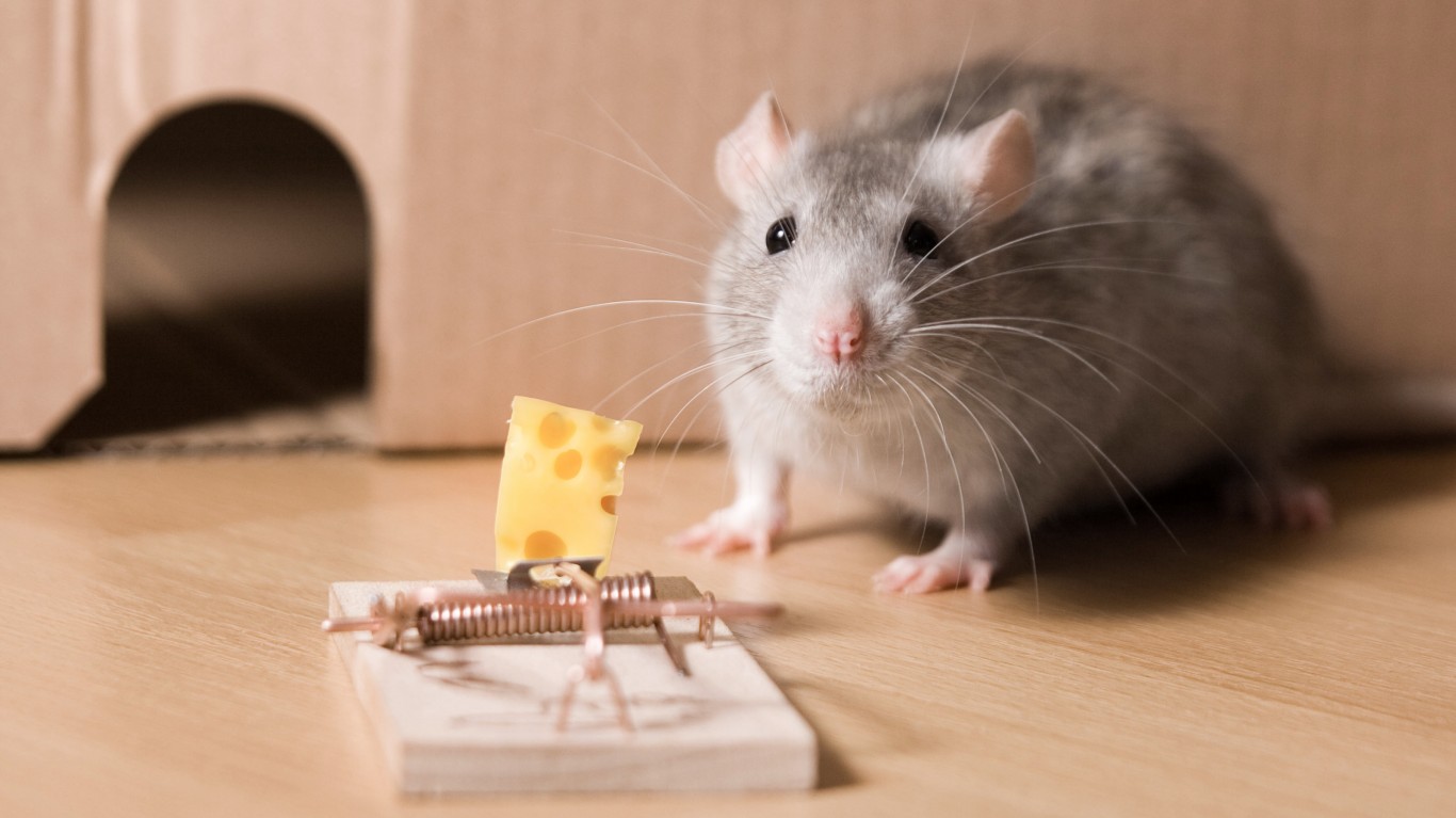 Opendoor’s CEO Sprung a Big Trap for Short Sellers. Should You Buy?