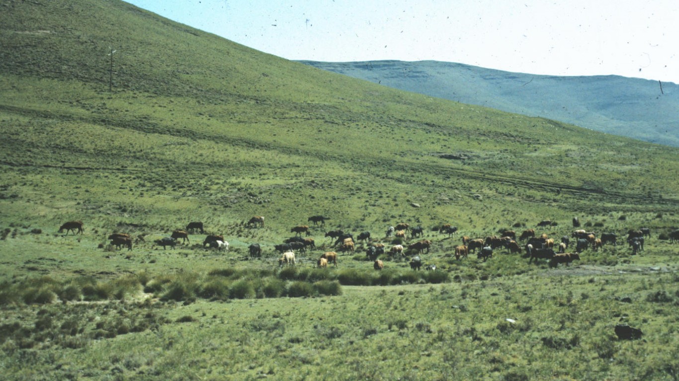 Hillside in Lesotho by Earle Klosterman