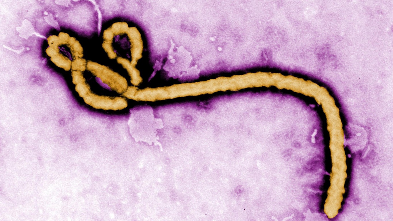 Ebola virus by CDC Global